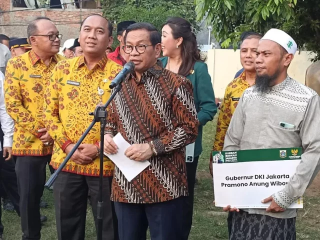 Pramono Anung Kurban Sapi di Daerah Rawan Kebakaran Jakarta
