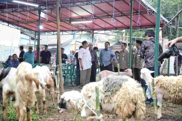 Wagub Rano Karno imbau warga Jakarta berkurban secara bijak