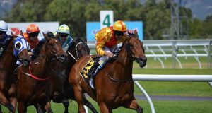 Rally Australia (WRC): multiples of five